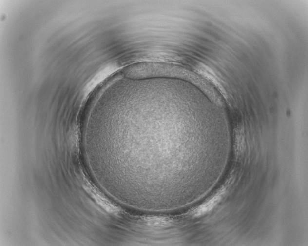 X0000087061114200704251022