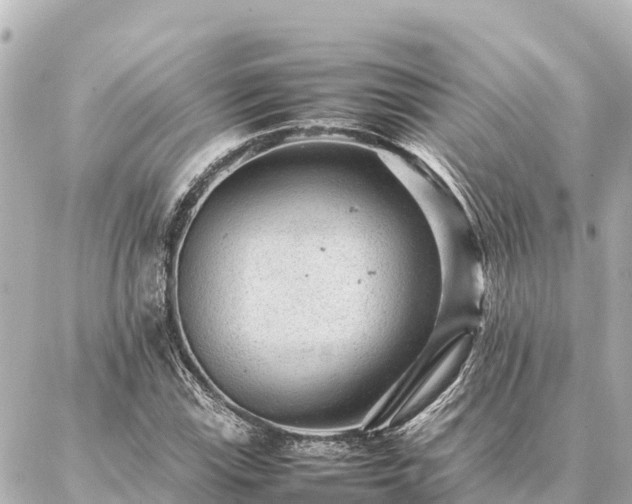 X0000087061115200704251022