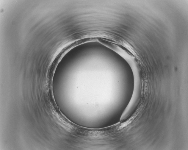 X0000087061116200704251022