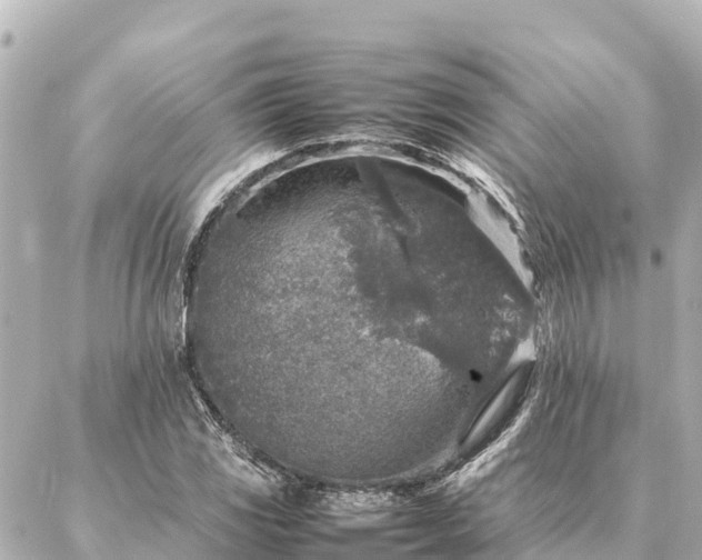 X0000087061117200704251022