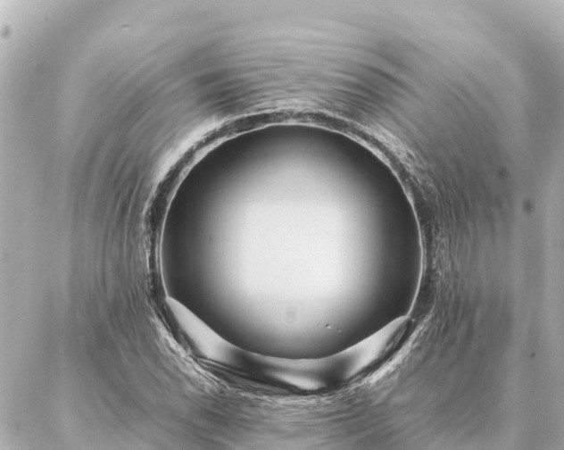 X0000087061118200704251022