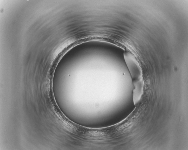 X0000087061119200704251022