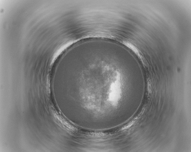 X0000087061120200704251022