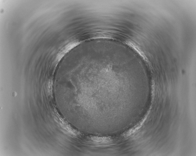 X0000087061121200704251022