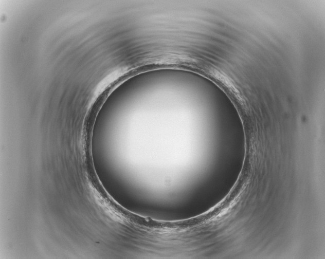 X0000087061122200704251022