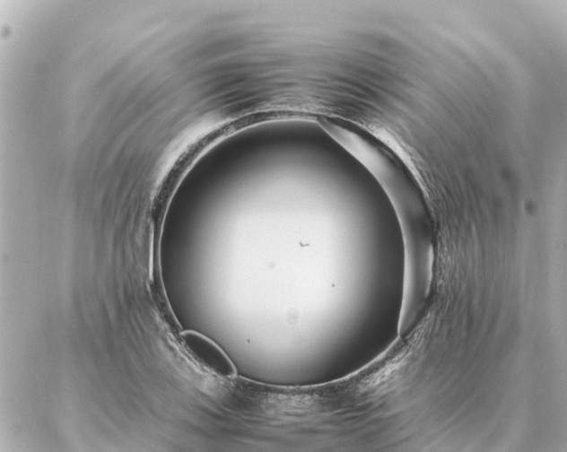 X0000087061123200704251022