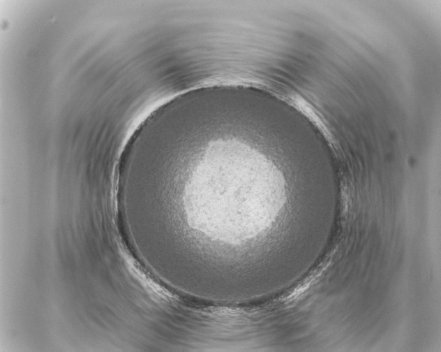 X0000087061124200704251022