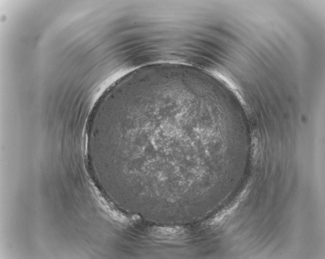 X0000087061125200704251022