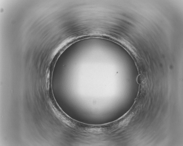 X0000087061126200704251022