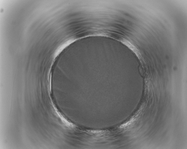 X0000087061127200704251022