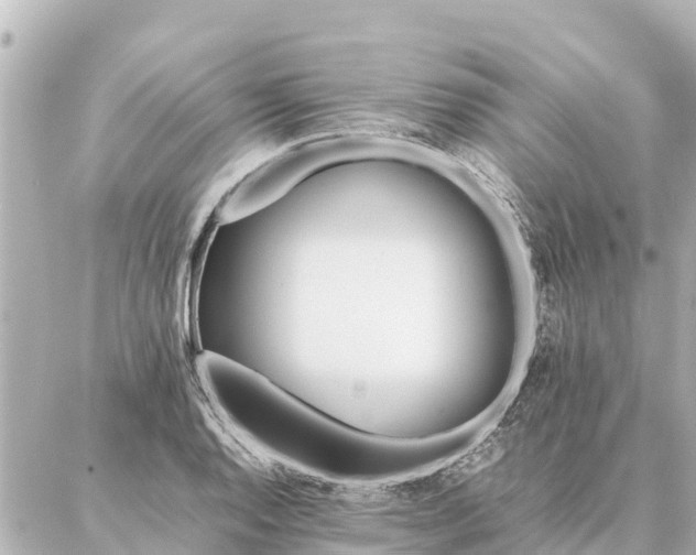 X0000087061128200704251022