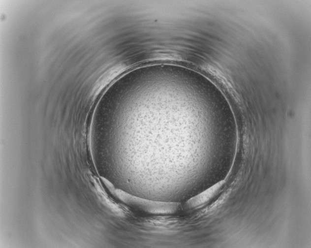 X0000087061129200704251022