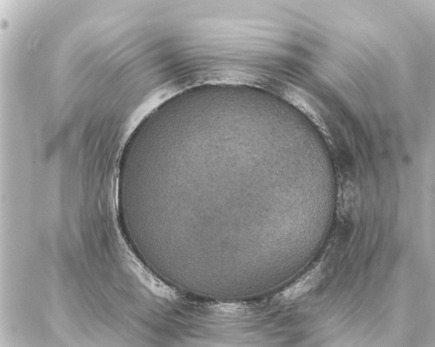 X0000087061130200704251022