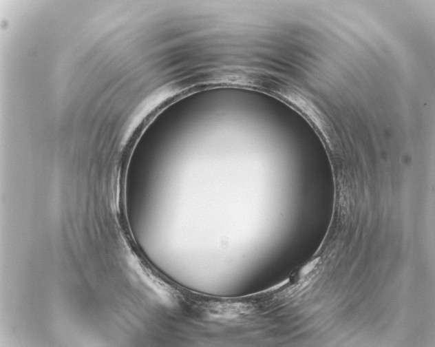 X0000087061131200704251022