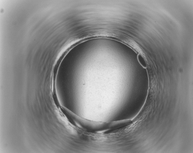 X0000087061132200704251022