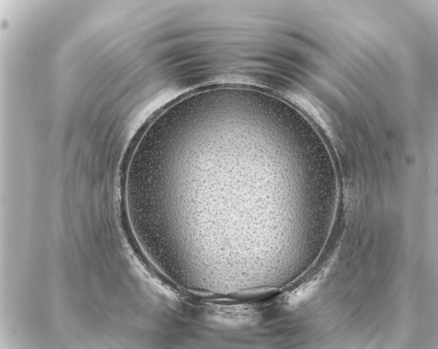 X0000087061133200704251022