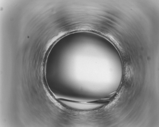 X0000087061134200704251022