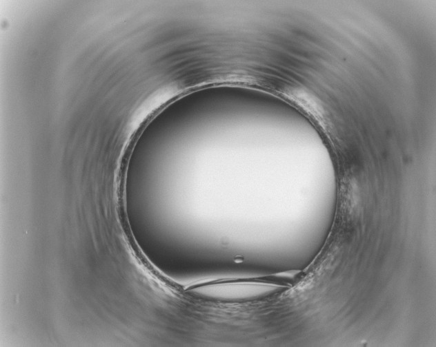 X0000087061135200704251022