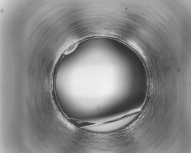 X0000087061136200704251022