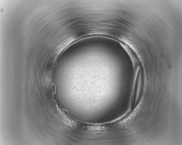 X0000087061137200704251022