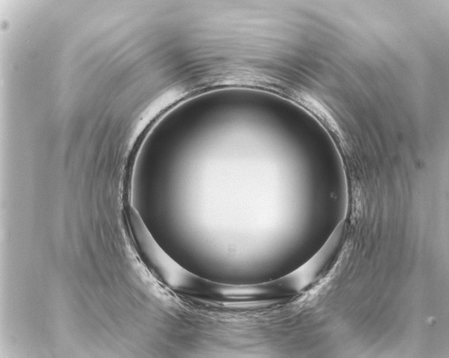 X0000087061138200704251022