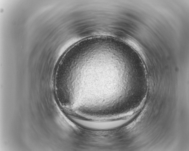 X0000087061141200704251022