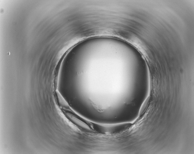 X0000087061142200704251023