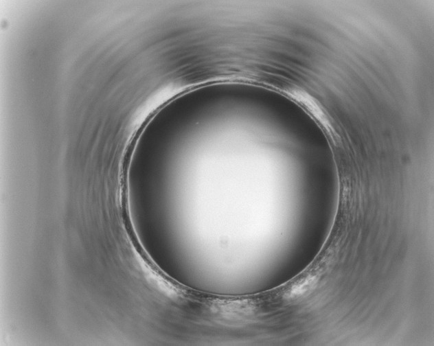 X0000087061143200704251023