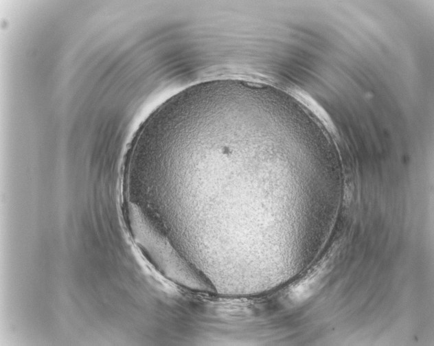 X0000087061144200704251023