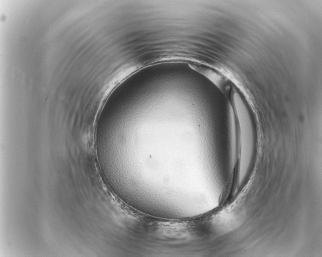 X0000087061145200704251023