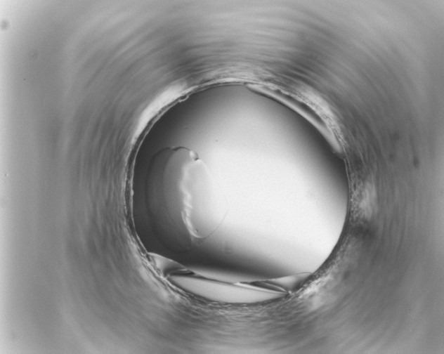 X0000087061146200704251023