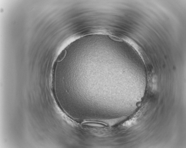 X0000087061147200704251023