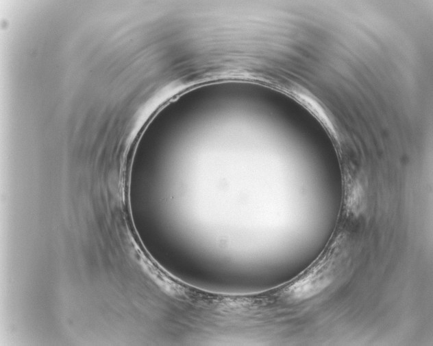 X0000087061148200704251023