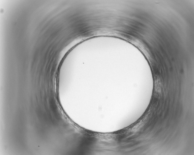 X0000087061150200704251023