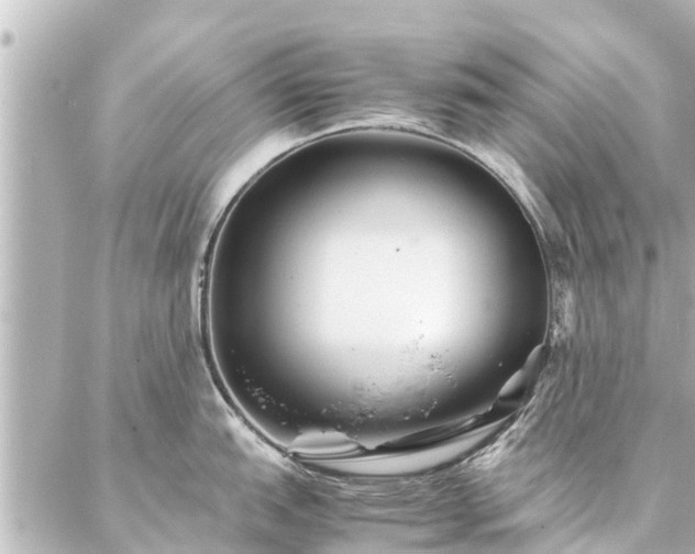 X0000087061151200704251023