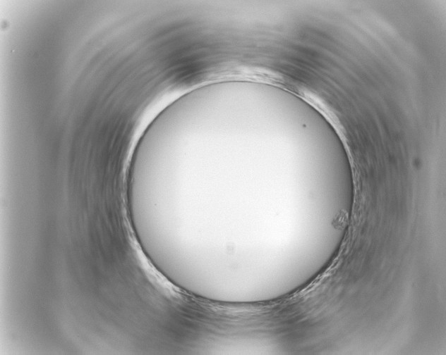 X0000087061152200704251023