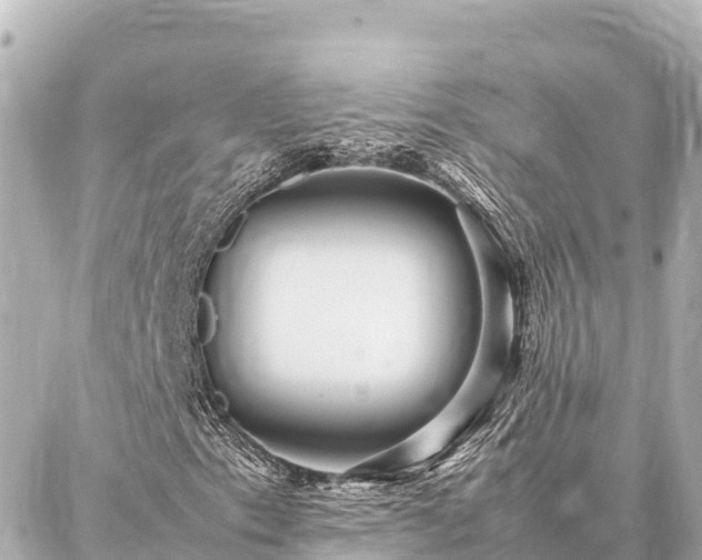 X0000087061153200704251022