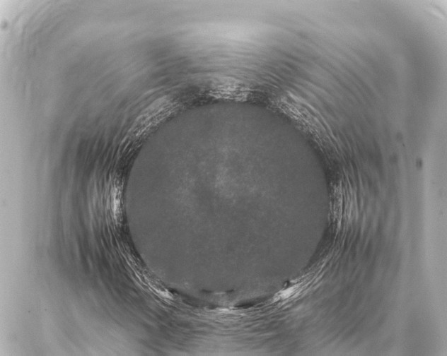 X0000087061154200704251022