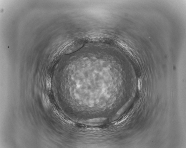 X0000087061155200704251022