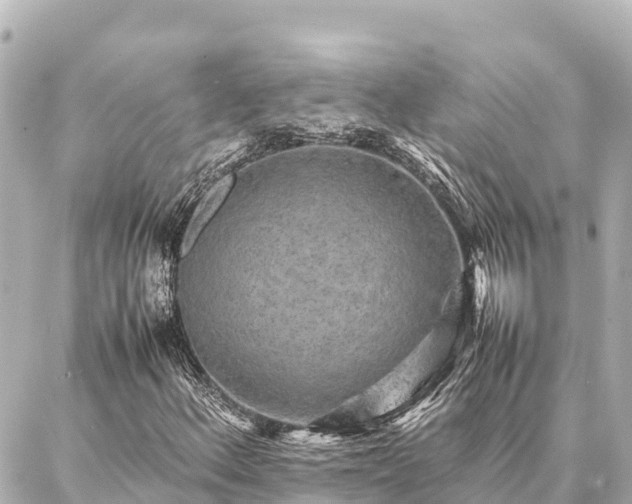 X0000087061156200704251022