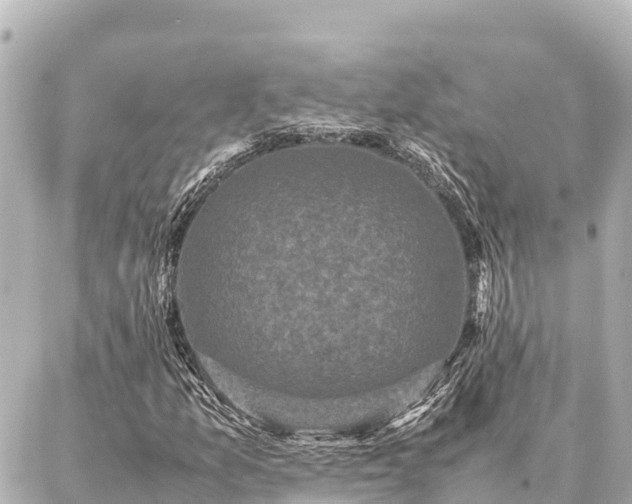 X0000087061157200704251022