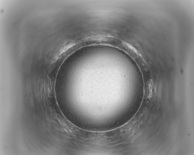 X0000087061158200704251022