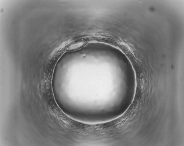 X0000087061159200704251022