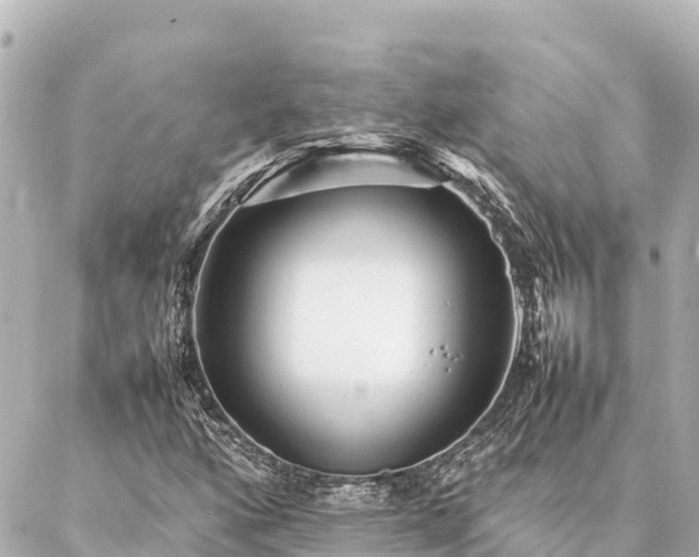 X0000087061160200704251022