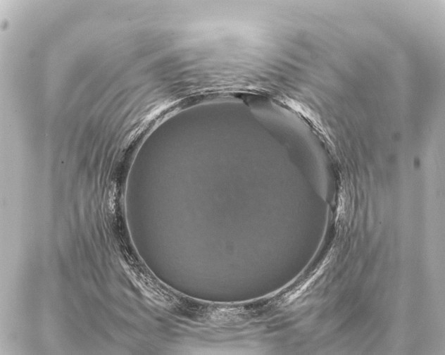 X0000087061161200704251022