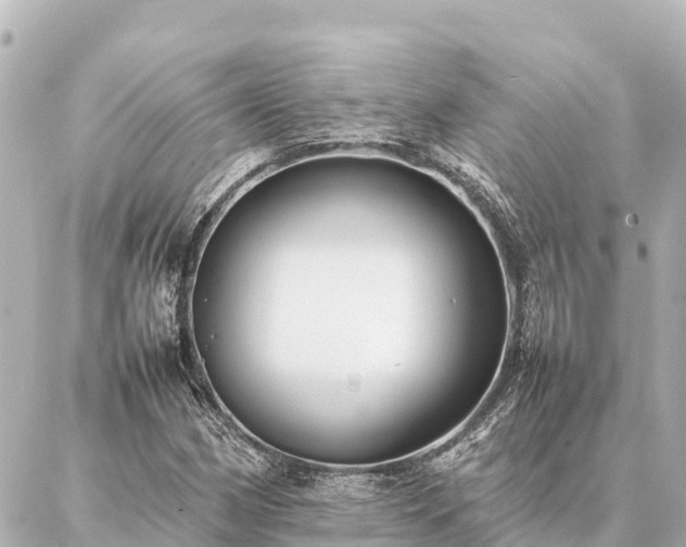 X0000087061162200704251022