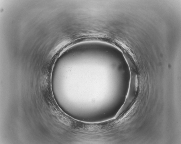 X0000087061163200704251022