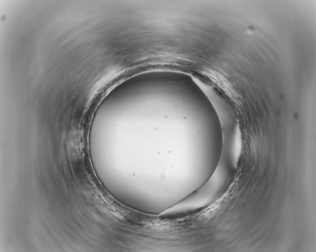 X0000087061164200704251022