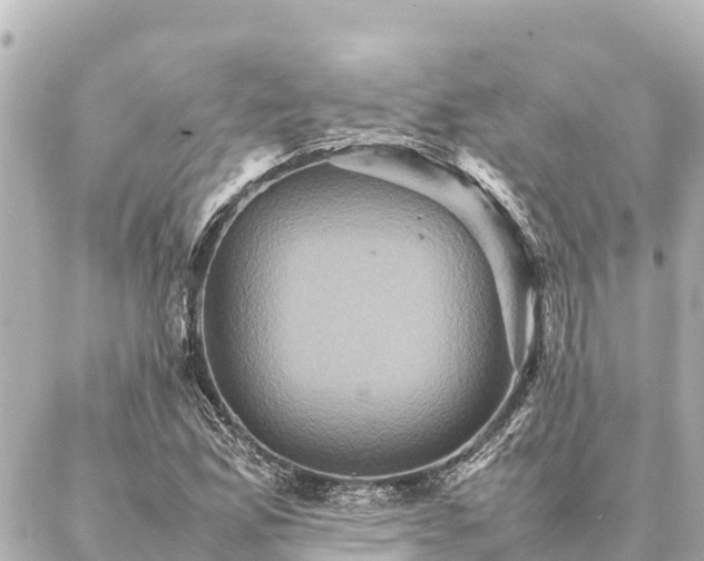 X0000087061165200704251022