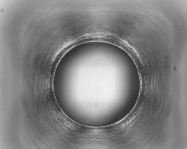 X0000087061166200704251022